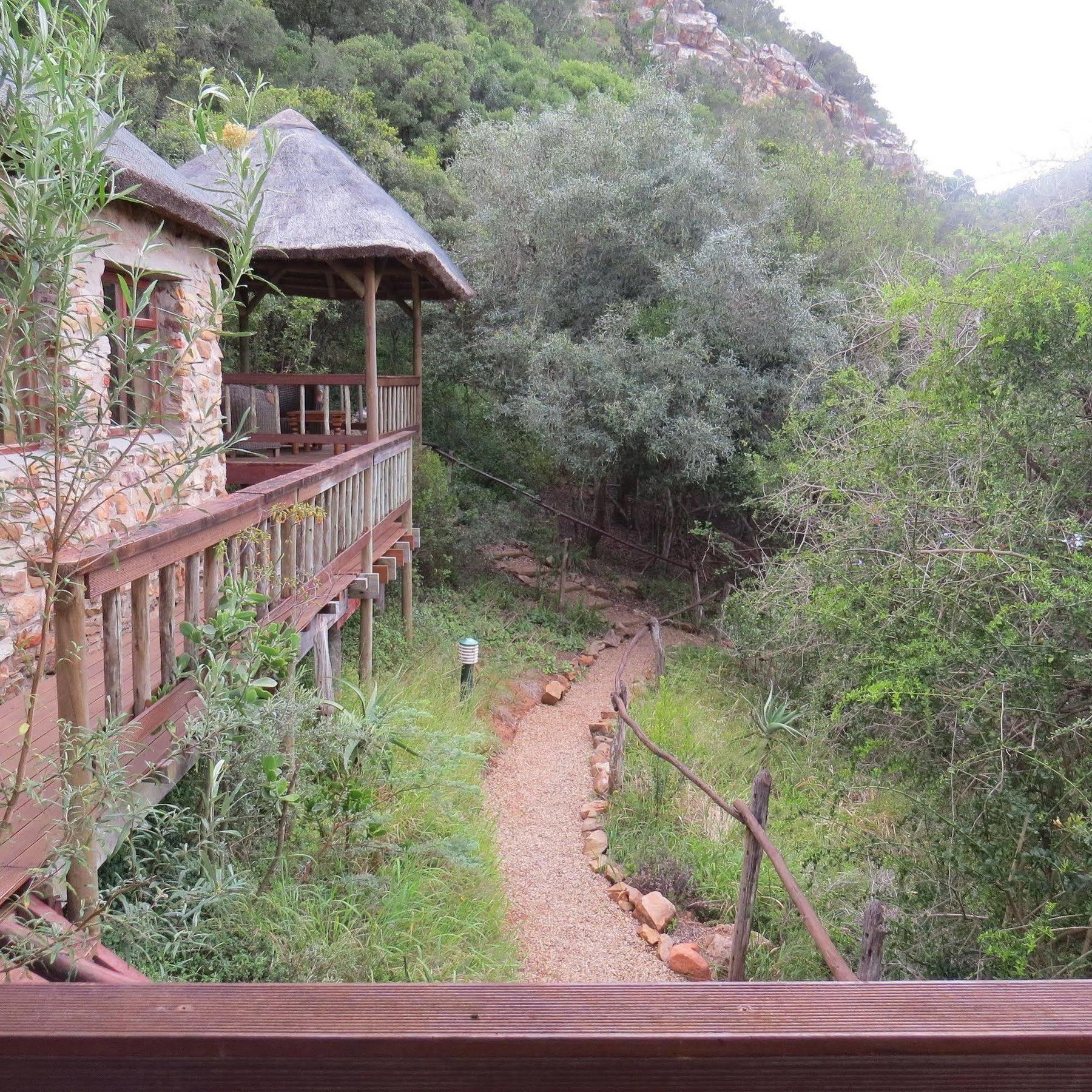 Woodbury Lodge - Amakhala Game Reserve Exterior photo